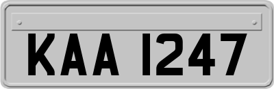 KAA1247