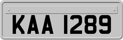 KAA1289