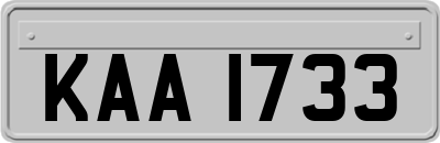 KAA1733