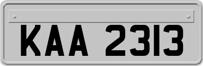 KAA2313