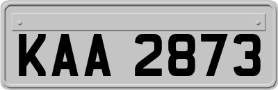 KAA2873