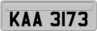 KAA3173