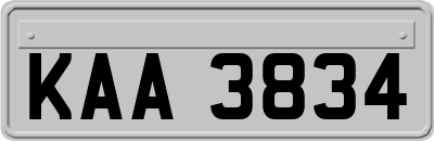 KAA3834