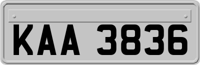 KAA3836