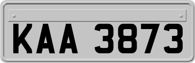 KAA3873