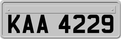 KAA4229