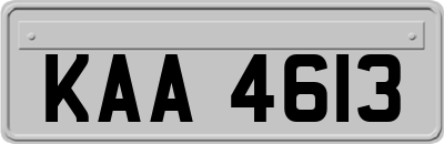 KAA4613