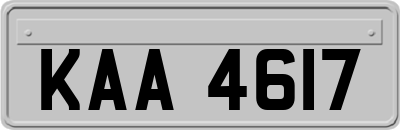 KAA4617