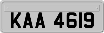 KAA4619
