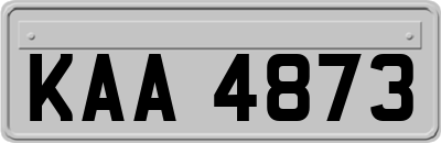 KAA4873