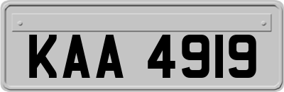 KAA4919