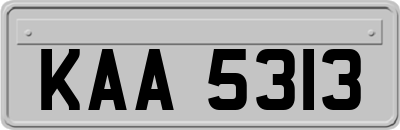 KAA5313