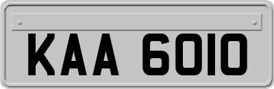 KAA6010