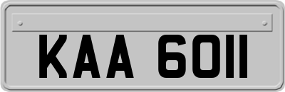 KAA6011