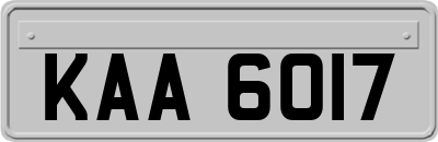 KAA6017