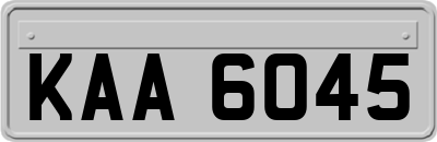 KAA6045