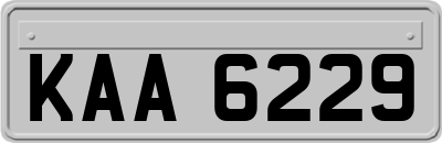KAA6229