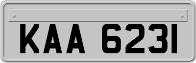 KAA6231