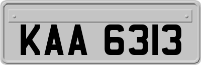 KAA6313