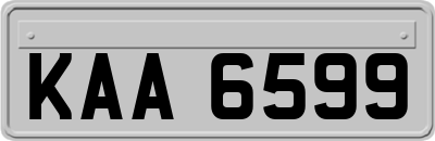 KAA6599