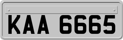 KAA6665