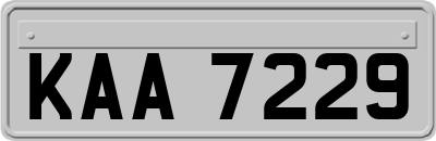 KAA7229