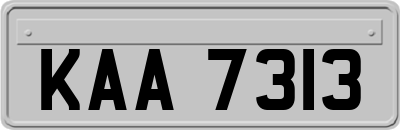 KAA7313