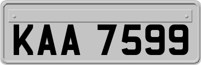 KAA7599