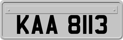 KAA8113