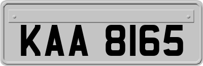 KAA8165
