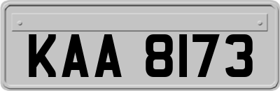 KAA8173