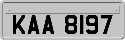 KAA8197