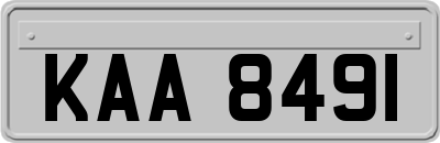 KAA8491