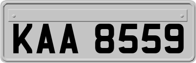 KAA8559