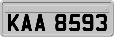 KAA8593