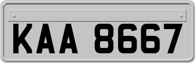 KAA8667