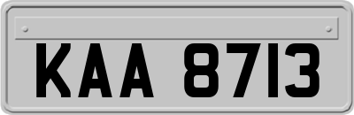 KAA8713