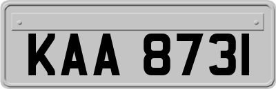 KAA8731