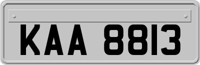KAA8813