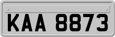 KAA8873