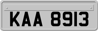 KAA8913