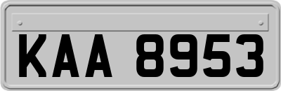 KAA8953