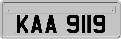KAA9119