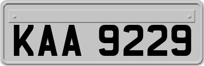 KAA9229