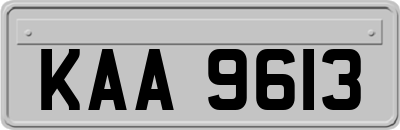 KAA9613