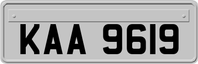 KAA9619