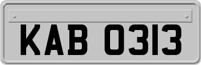 KAB0313