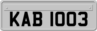 KAB1003