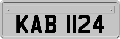 KAB1124
