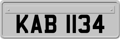 KAB1134